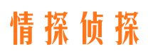 博野私人侦探